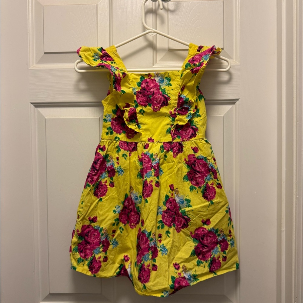 Disney x Janie and Jack Hidden Alice in Wonderland Floral Dress
